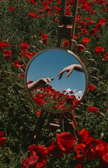 reflection in a round mirror that stands on the easel of the hands of two women against the background of a poppy field