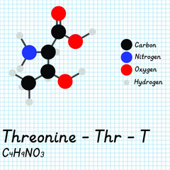 Threonine - Thr - T - Amino Acid molecular formula and chemical structure. 2D Ball and stick model on school paper sheet background. EPS10
