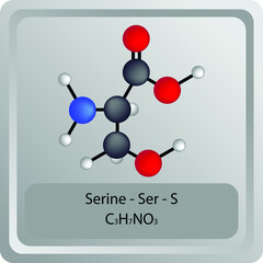 Serine - Ser - S - Amino Acid chemical structure. Molecular formula ball and stick model of Histidine Molecule. Biochemistry class, Biological and Chemical vector illustration. EPS10