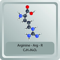Arginine - Arg - R - Amino Acid chemical structure. Molecular formula ball and stick model of Histidine Molecule. Biochemistry class, Biological and Chemical vector illustration. EPS10