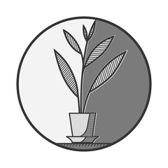 Silhouette of a flower with large leaves inside a circle. Black and white flat vector illustration style.