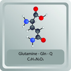 Glutamine - Gln - Q - Amino Acid chemical structure. Molecular formula ball and stick model of Histidine Molecule. Biochemistry class, Biological and Chemical vector illustration. EPS10