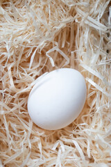 Easter egg lies in the hay