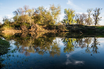 Obraz premium USA, California. Fremont Weir Wildlife Area on the Sacramento River, floodplain management.