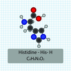 Histidine - His - H - Amino Acid molecular formula and chemical structure . 2D Ball and stick model on school paper sheet background. EPS10