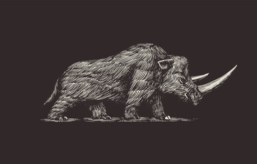 Woolly rhinoceros. Extinct animal. Ice Age. Vintage retro vector illustration. Doodle style. Hand drawn engraved sketch