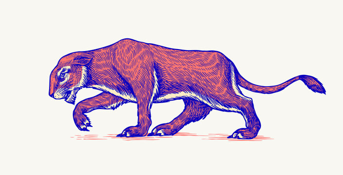 European Cave Lion. Panthera Spelaea. Extinct Steppe Animal. Vintage Retro Vector Illustration. Doodle Style. Hand Drawn Engraved Sketch