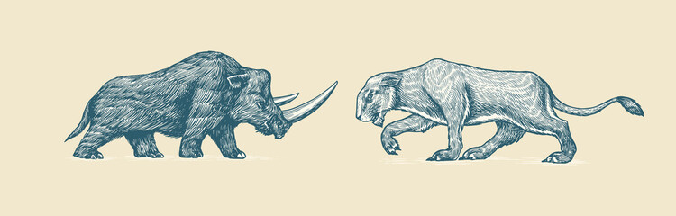 Naklejka na ściany i meble Woolly rhinoceros and European cave lion. Panthera spelaea. Extinct animal. Ice Age. Vintage retro vector illustration. Doodle style. Hand drawn engraved sketch