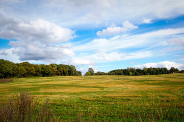 Fototapeta na wymiar Beautiful green and yellow field. Denmark