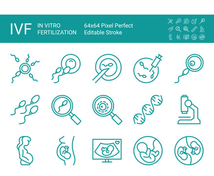 Set of vector line icons of in vitro fertilization, embryo, pregnancy, research. Editable vector stroke. 64x64 Pixel Perfect.