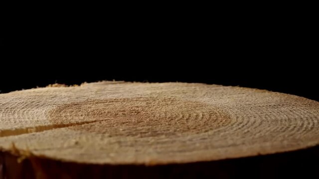 A cross-section of an old pine tree with countless tree rings indicating age. A large round piece of wood with a cross-section with a concentric pattern of wood ring texture and cracks rotates around 