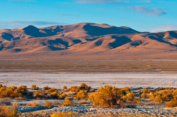 USA, California, Tecopa. Mojave Desert.