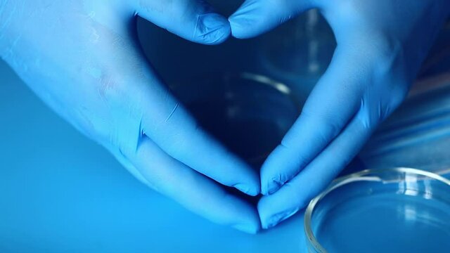 Doctor's hands in gloves show the shape of the heart. Love and gratitude to doctors.