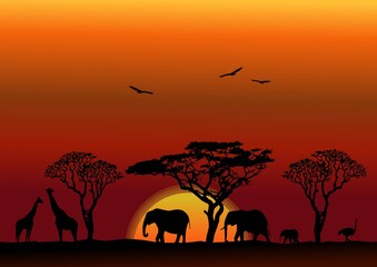 African sunset