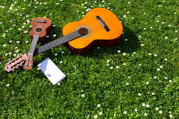 Acoustic guitar, ukulele and  notepad on a green grass field with flowers