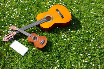 Acoustic guitar, ukulele and  notepad on a green grass field with flowers