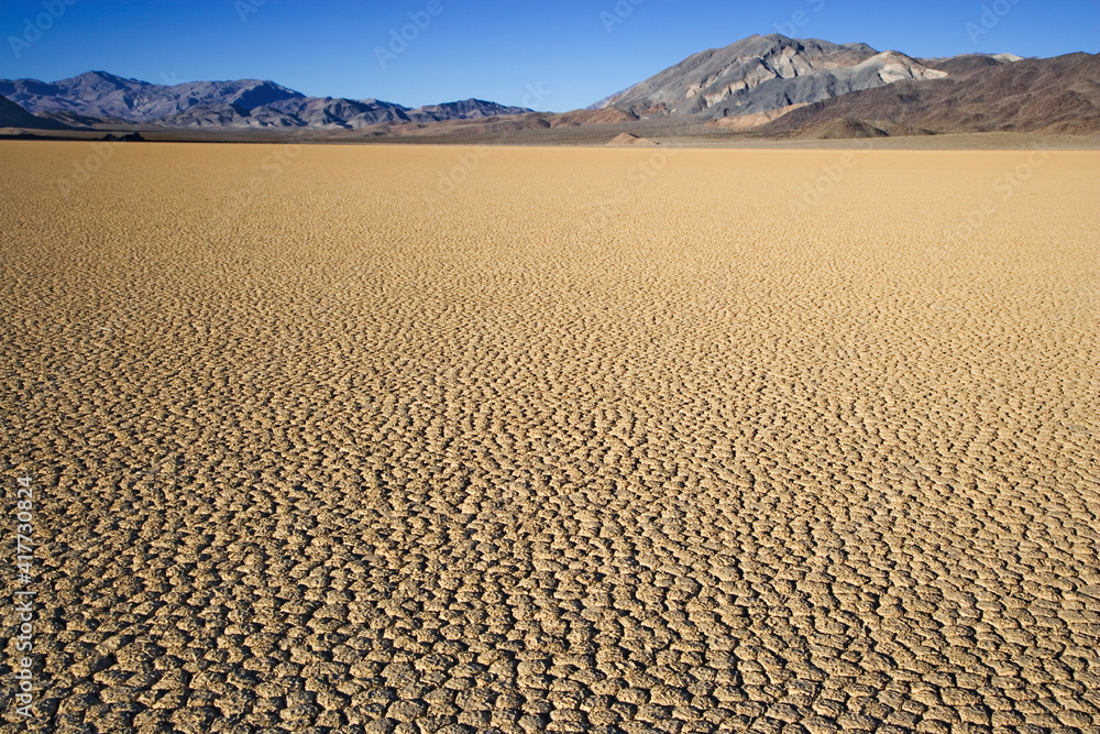 Poster USA, California, Death Valley National Park. Arid playa.