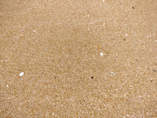 Fine sand texture and background