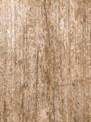 Wood texture background surface old natural pattern