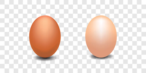 Realistic Eggs Vector Illustration Isolated on Transparent Background