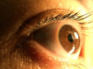 Macro of human eye
