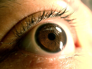 Macro of human eye