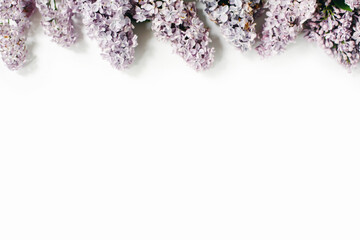 Lilac flowers on white background. Flat lay, top view, copy space.