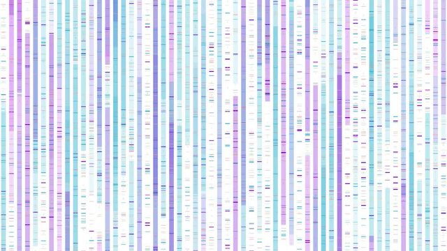 Human chromosome DNA Genome sequencing analysis visualization mapping