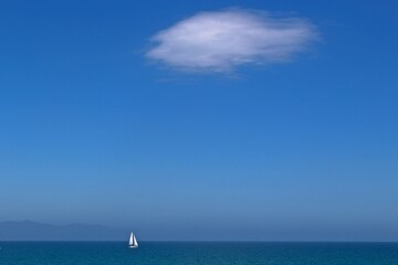 Lonely sail in the sea, Sardinia, Italy  