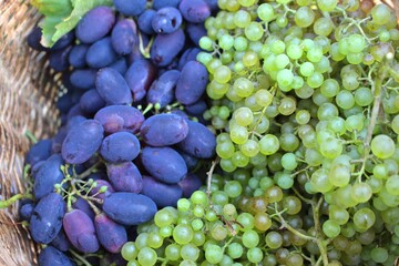 Fresh blue and green grapes 