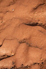 red desert sand
