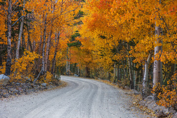 Fall color in the Sierra Nevada Range near the North Fork of Bishop Creek, CA