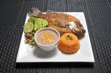 Tropical MojarraIrita Fish