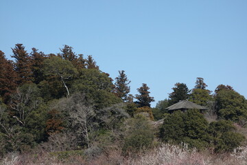 Obraz premium 偕楽園