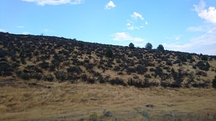 landscape with mountains