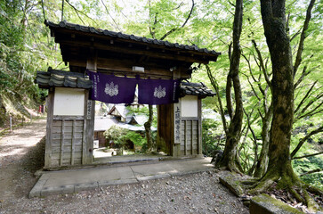 新緑の上醍醐　寺務所入口　京都市伏見区