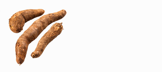 Manihot esculenta raw cassava tuber - Yuca