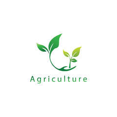 shoots of plants logo agriculture illustration of leaves circle vector design