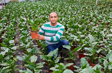 Man in protective mask controlling quality of seedlings in his organic glasshouse plantation