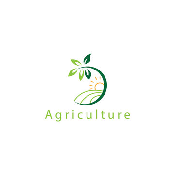 leaf farm logo illustration nature circle design