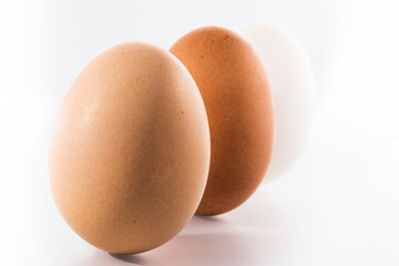 Three (3) different shades of natural organic eggs on a white background. Diversity and difference concept