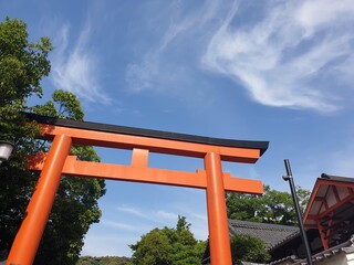 Fototapeta na wymiar Traditional door torii in Kyoto, Japan