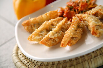Baked dumplings on a white plate 흰색접시위에 노릇노릇하게 구워진 만두
