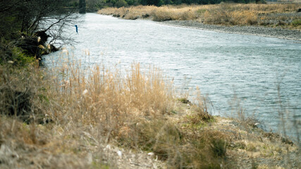 川辺の風景