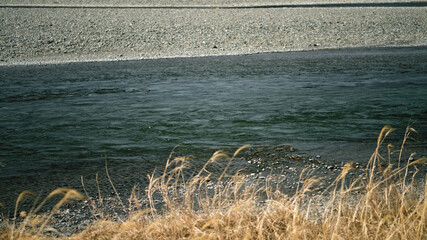 川辺の風景