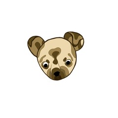 teddy bear isolated on white