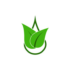 Obraz premium leaf logo template illustration on white background