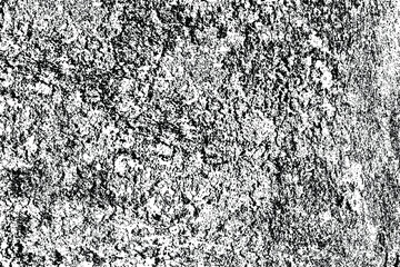Grunge texture of a rough old uneven surface. Black and white moss background. Surface with noise, grit, and dirt. Vector illustration. Overlay Template.