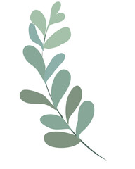 Eucalyptus branches border for easter invitation and other party, vector eucalyptus 