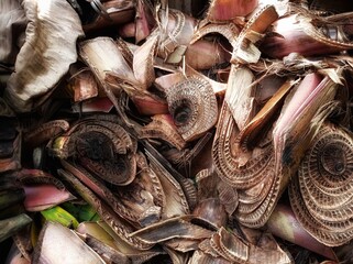 A pile of banana weevil